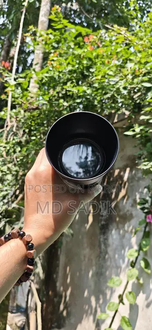 Canon 55-250 Zoom Lens