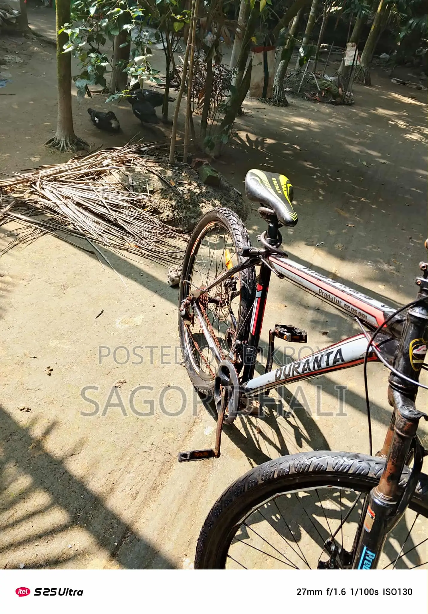 Duranta Bicycle for Sale