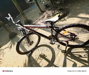 Duranta Bicycle for Sale