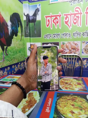 Apple iPhone 13 Pro ব্যবহৃত (Used)