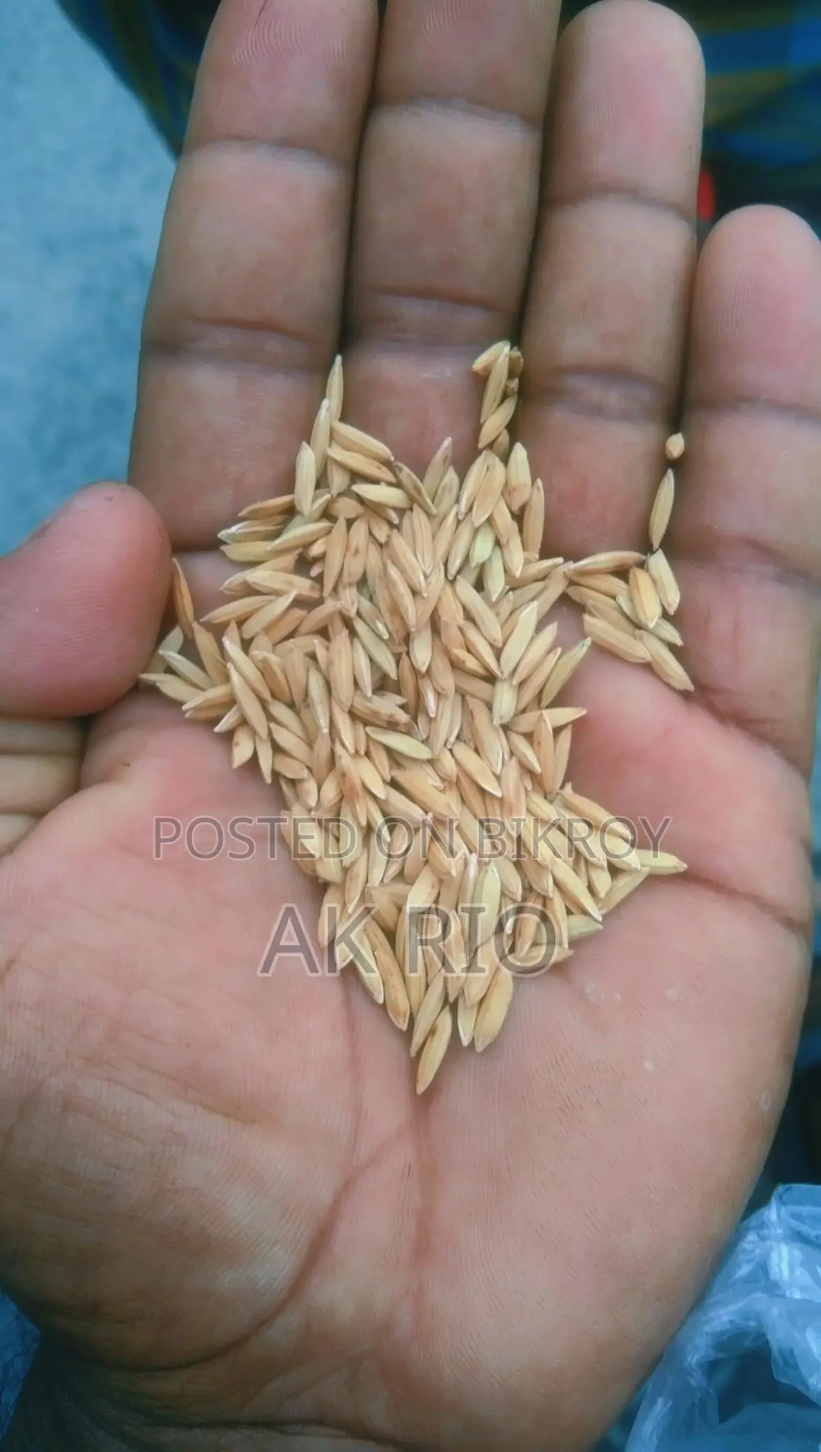 Pure 28 Variety Rice for Sale