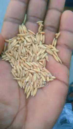 Pure 28 Variety Rice for Sale