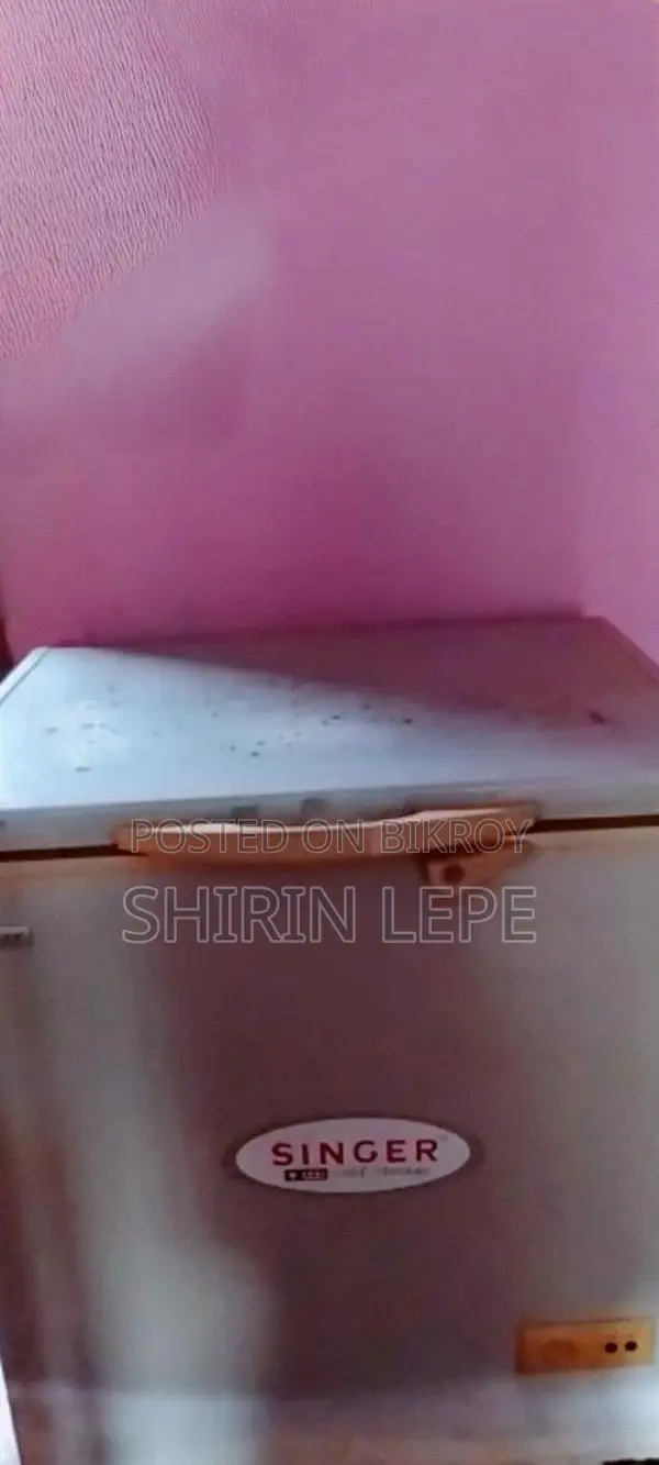 Singer Deep Freezer