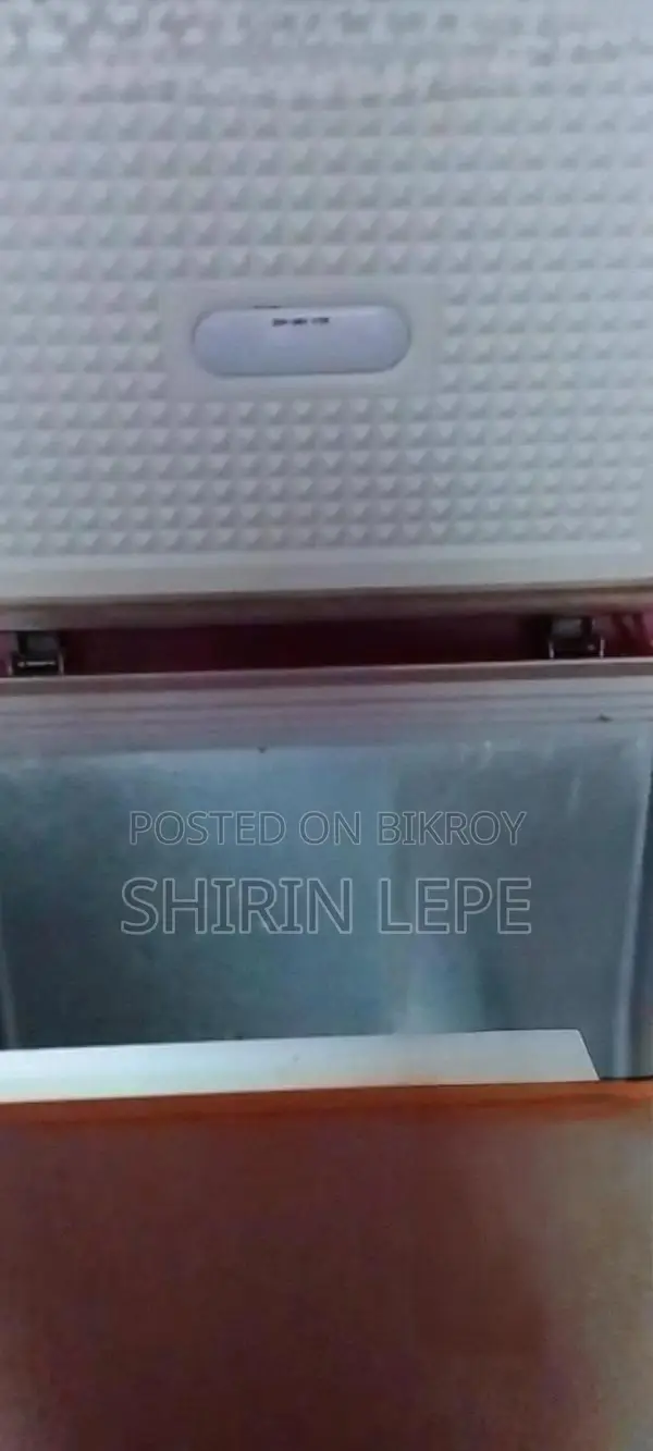 Singer Deep Freezer
