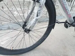 Duranta Bicycle for Sale