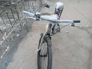 Duranta Bicycle for Sale