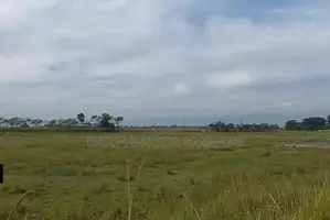 সিলেটে কোম্পানীগঞ্জ উপজেলায় দুই দাগে ৭৩ বিঘা জমি বিক্রি
