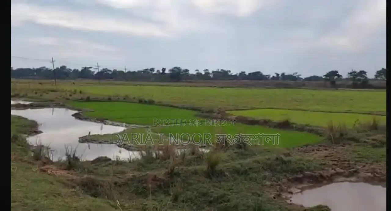 73 Bigha Land for Sale in Two Plots in Companiganj, Sylhet