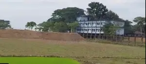 73 Bigha Land for Sale in Two Plots in Companiganj, Sylhet
