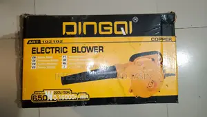 Dingqi Electric Blower