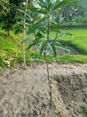 Land for sale at a low price, suitable for building a house