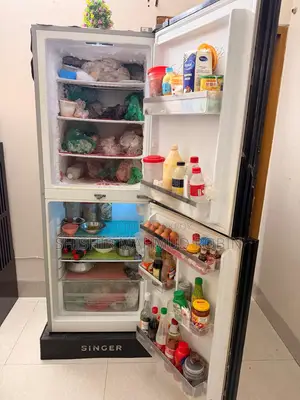 Singer Refrigerator 290L