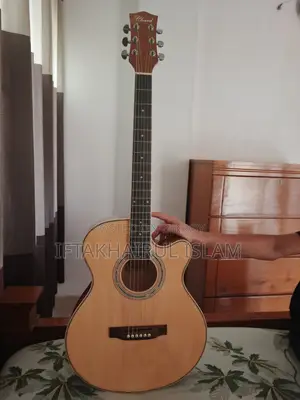 Chard Ea-12 Acoustic Guitar