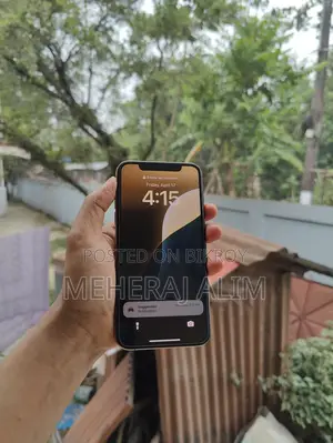 Apple iPhone XS 256 GB (Used)