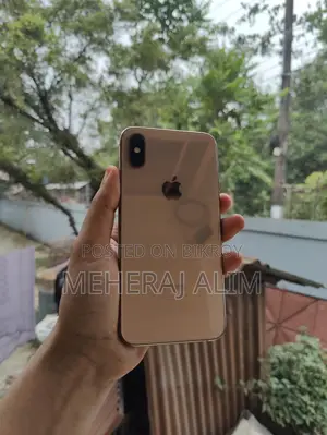 Apple iPhone XS 256 GB (Used)
