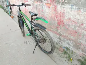 Duranta Bicycle for sale