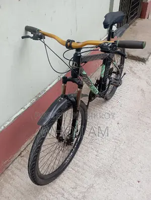 অ্যালুমিনিয়াম বডির ফিনিক্স গিয়ার সাইকেল