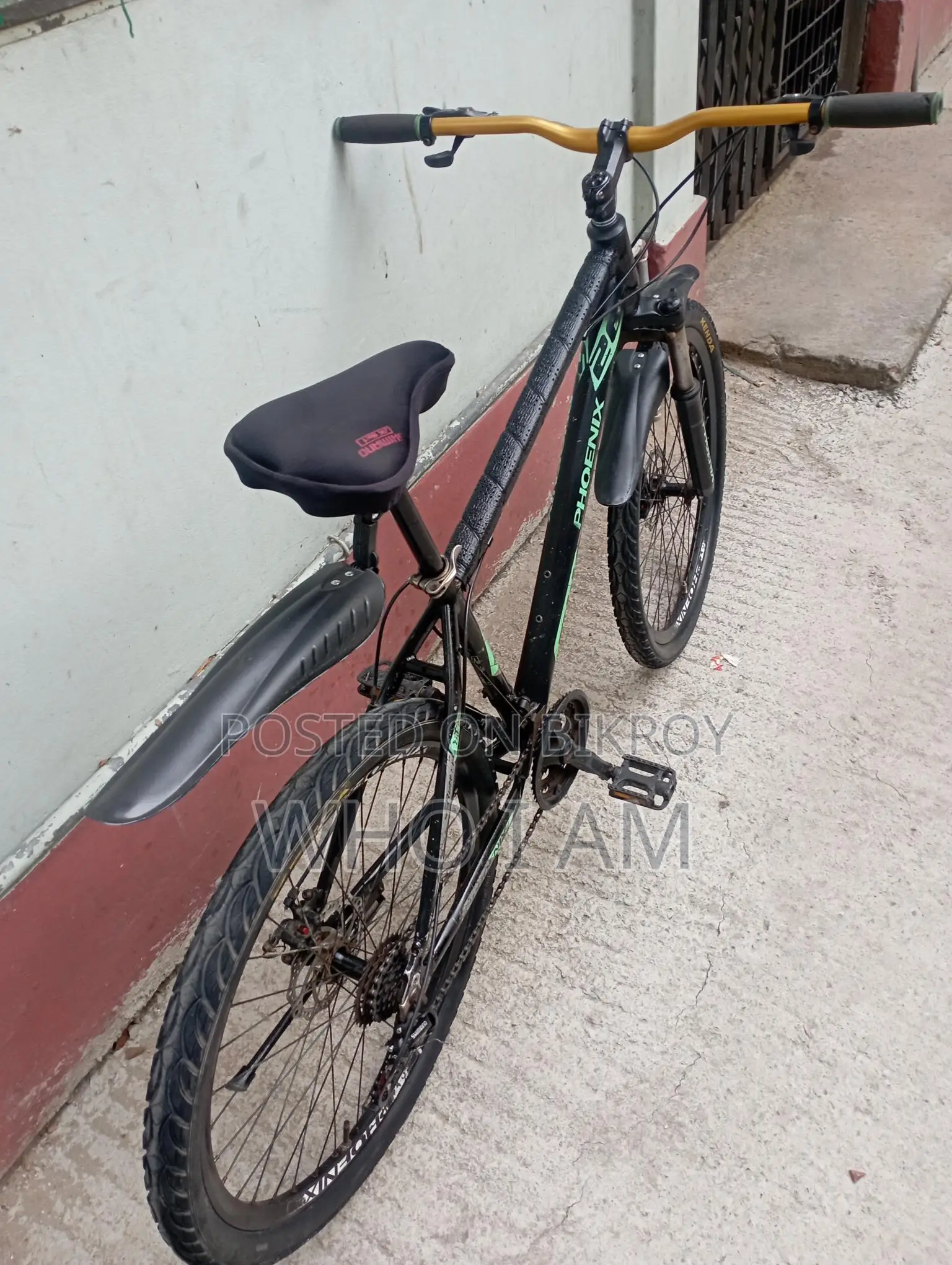 অ্যালুমিনিয়াম বডির ফিনিক্স গিয়ার সাইকেল