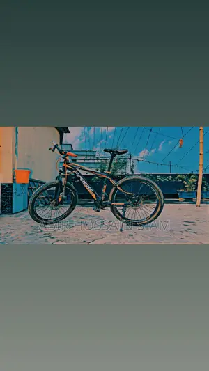 Finiss Cycle