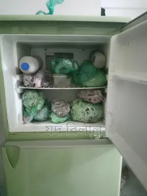 Running Fridge
