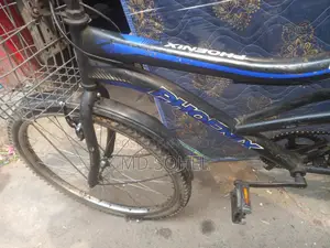 Phoenix Bicycle for sale