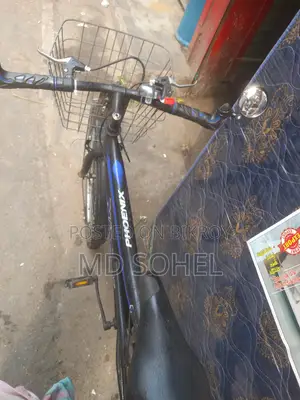 Phoenix Bicycle for sale
