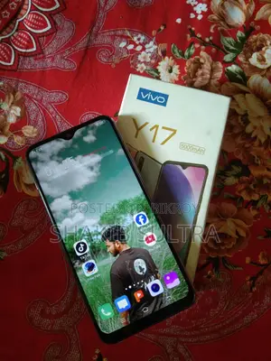Vivo Y17 8/256 (Used)