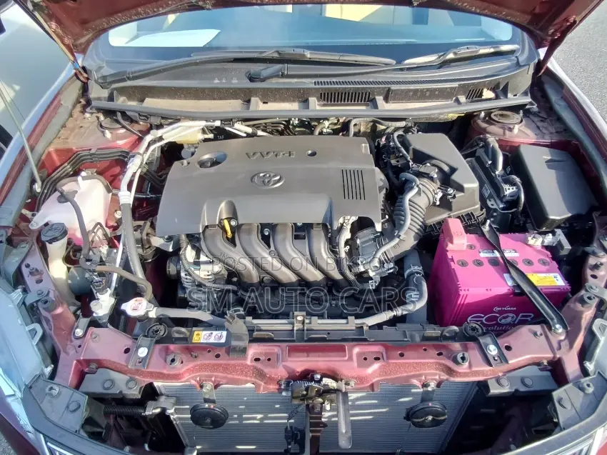 Toyota Premio FEX Red 4 Point 2021