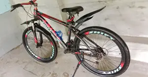 Duranta Bicycle for Sale