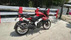 Bajaj Pulsar 160 ABS Double Disc 2021