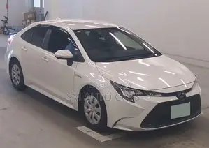 Toyota Corolla G-X Pearl Color 2021