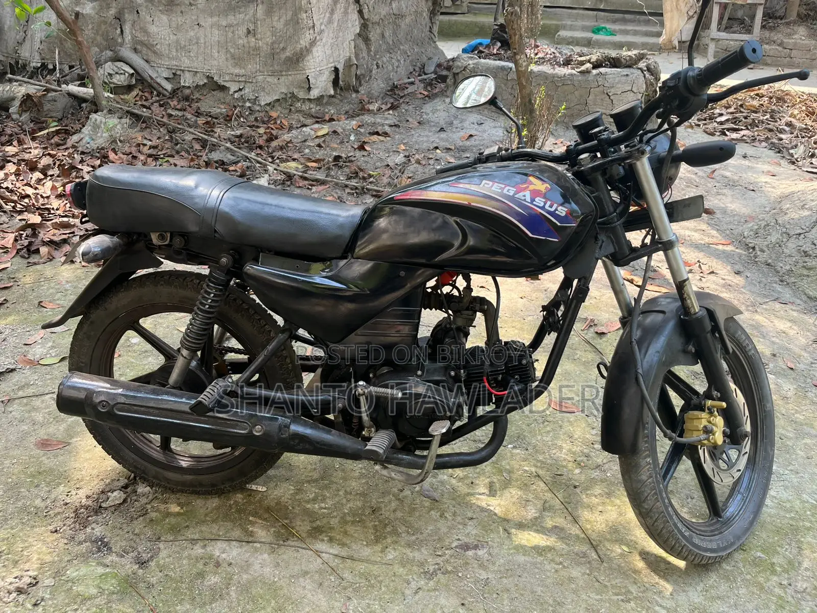 Walton Leo 2000