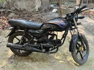 Walton Leo 2000