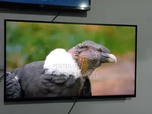 Sony TV বিক্রির জন্য