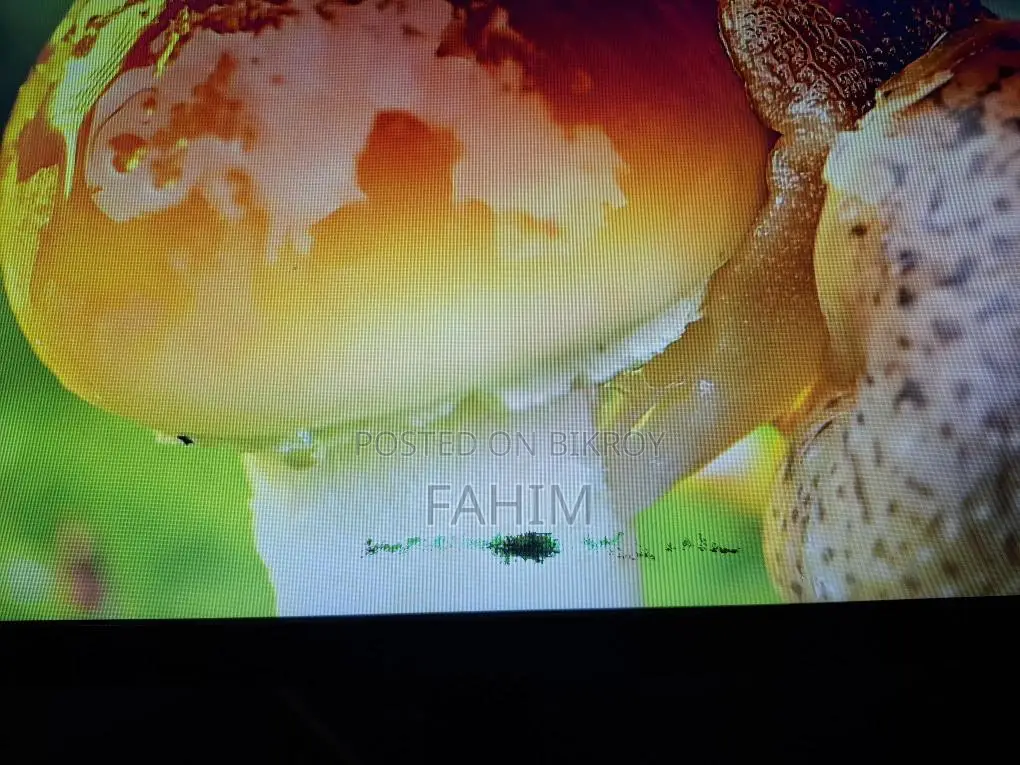 Esonic 20 Inch Monitor