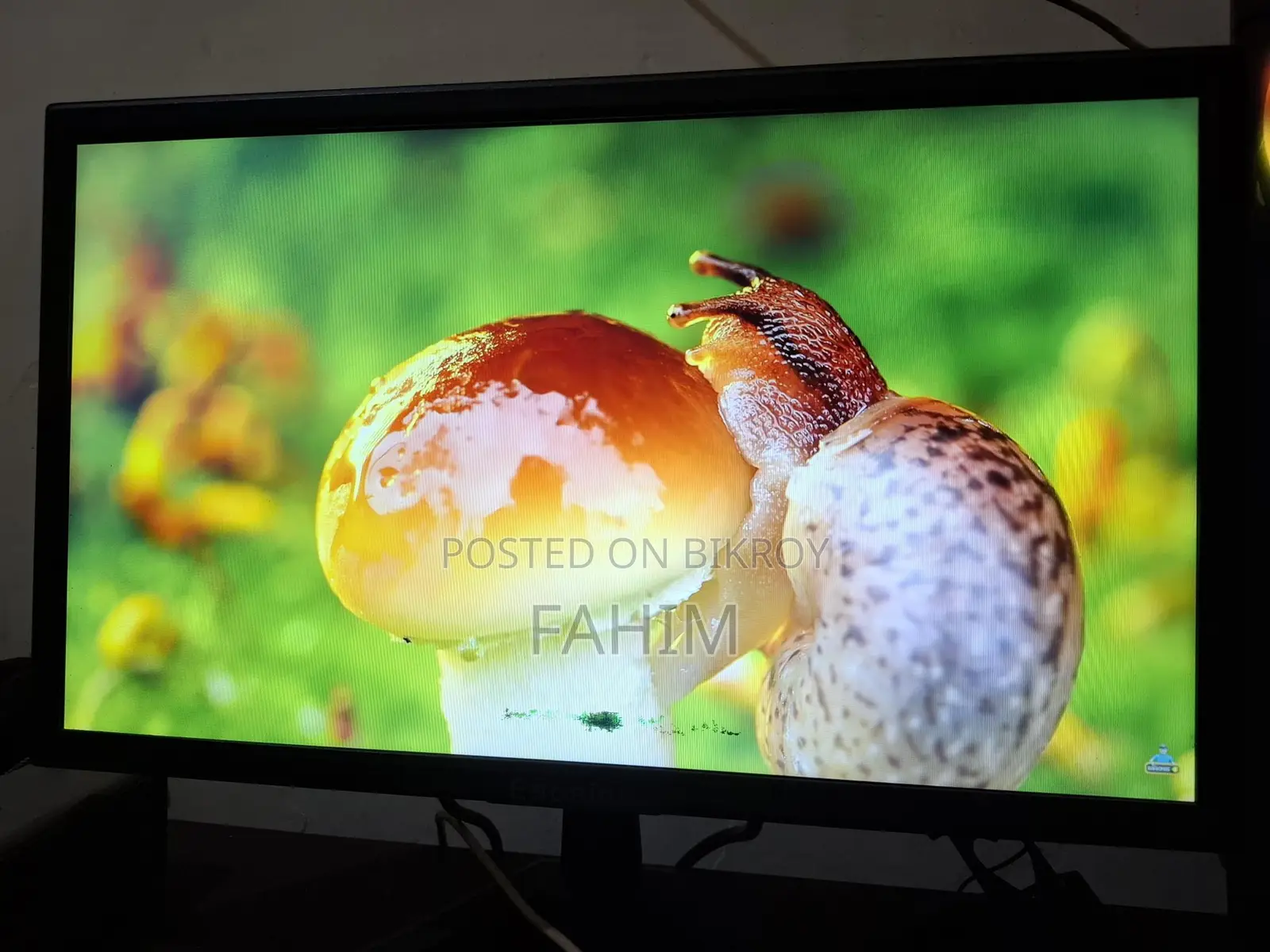 Esonic 20 Inch Monitor