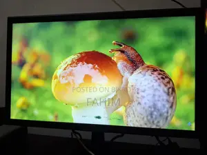 Esonic 20 Inch Monitor
