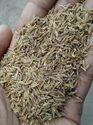 ১০০% খাঁটি জ্বিরা পাওয়া যায়।