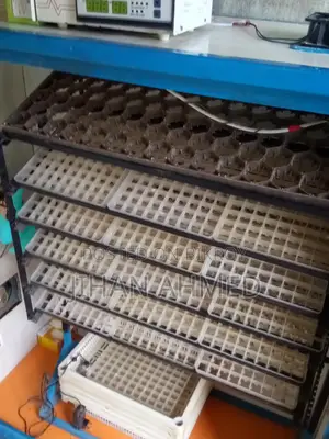 Incubator for 1800 Eggs