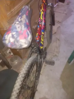 Veloce Bicycle for Sale