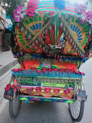 Disabled-Friendly Rickshaw