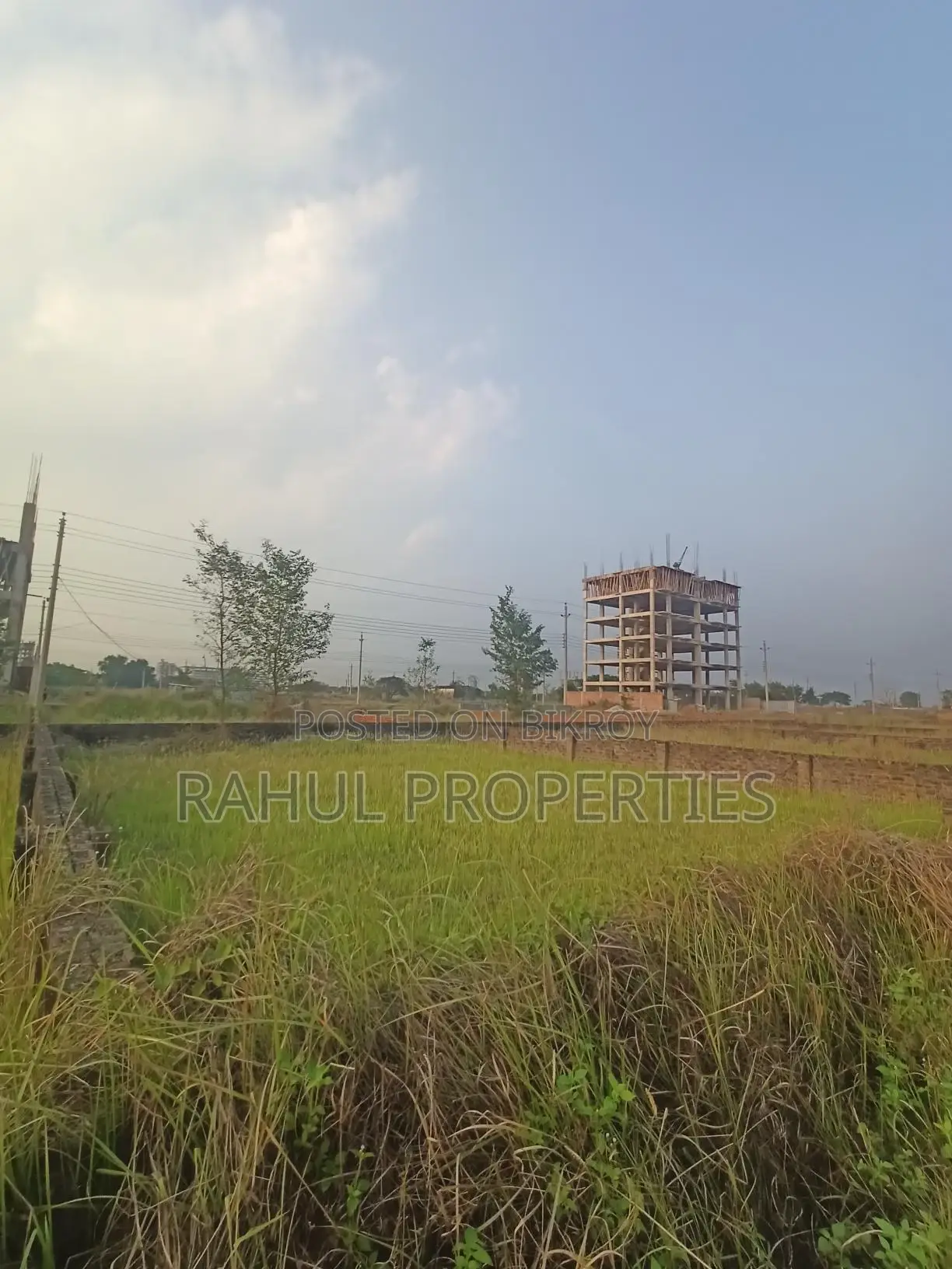 জরুরী প্রয়োজন। বসুন্ধরা[ P Block ] দক্ষিণ মুখি প্লট বিক্রয়