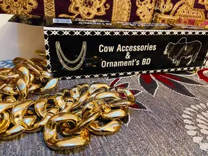 Bulls Chain