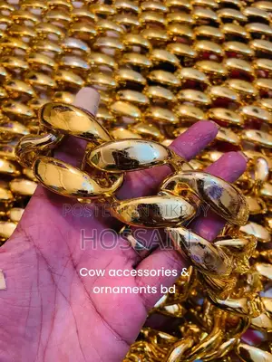 Bulls Chain