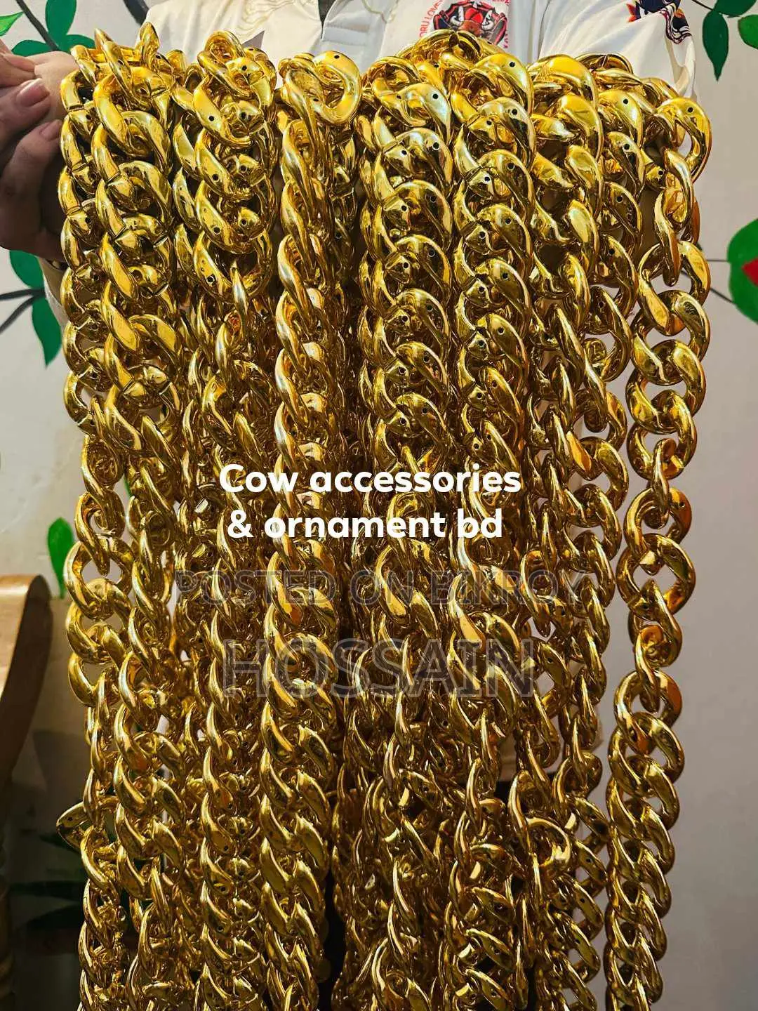 Bulls Chain
