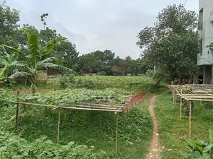 Land For Rent