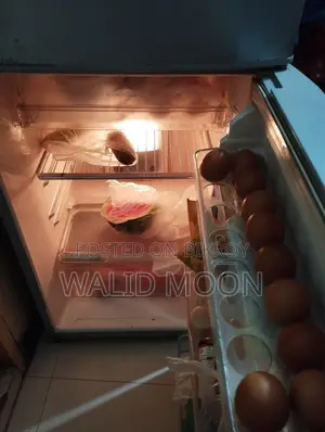 10 cft fridge
