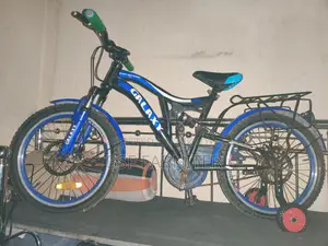 Galaxy Bicycle for Sale