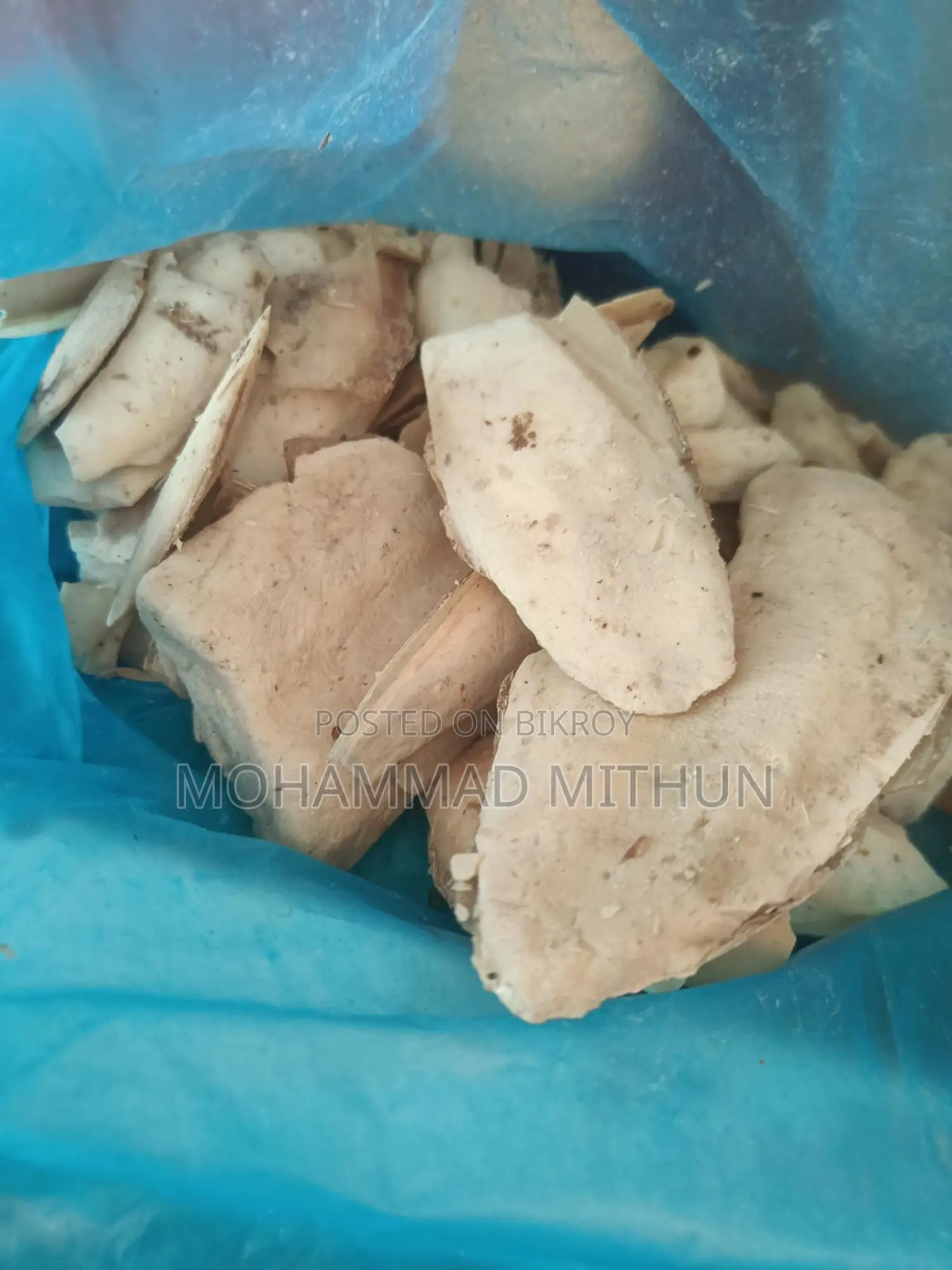 সমুদ্রের ফেনা ও পাথরকুচি বিক্রি