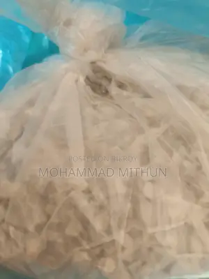 সমুদ্রের ফেনা ও পাথরকুচি বিক্রি